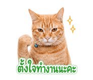 856997480