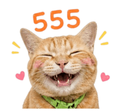 856997562