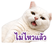 856997810