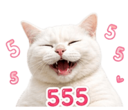 856997814