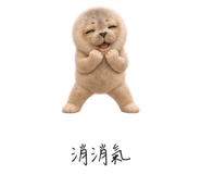 856998771