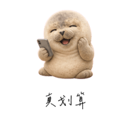 856998797