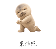 856999112