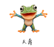 856999408