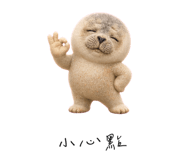856999520