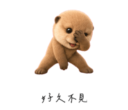 856999730