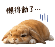 856999756