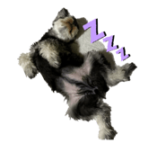 857000706