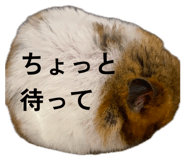 857000877