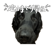 857001268