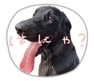 857001273