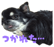857001515