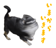 857001517