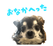 857001520