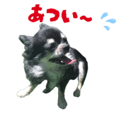 857001524