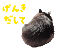 857001528