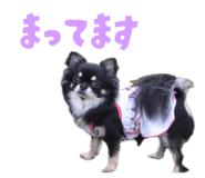 857001530