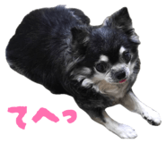 857001539