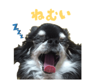 857001540