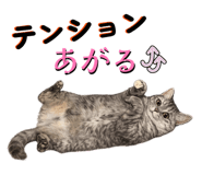 857001983
