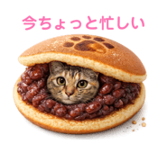 857001986