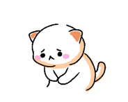 857009669