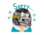 857010148