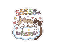 857010213