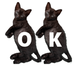 857035400