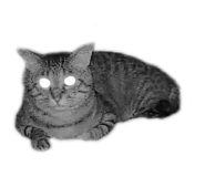 857036035