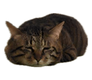 857036046