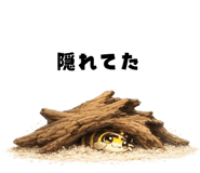 857079926