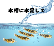 857079940