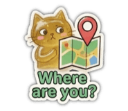 857098294