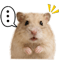857098385