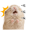 857098386