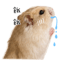 857098389