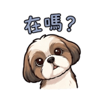 857099723
