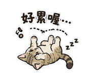 857102619