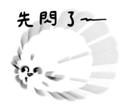 857103031