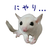 857103636