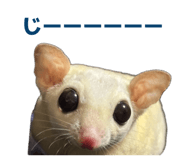 857103638
