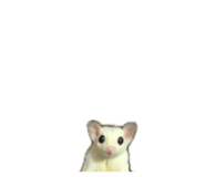 857103640