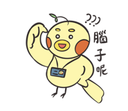 857105427