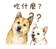 857106021