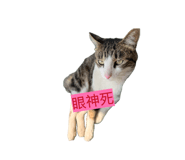 857106611