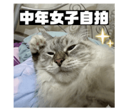 857106661