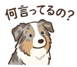 857107291
