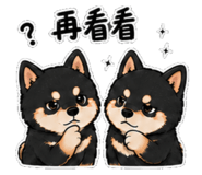 857107427
