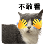 857107848